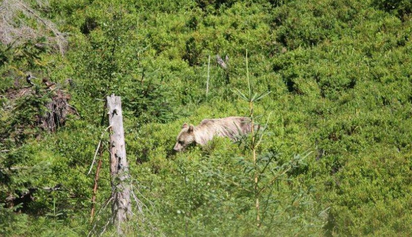 Hotel CROCUS **** Vysoké Tatry